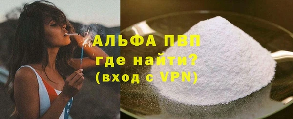 индика Горнозаводск