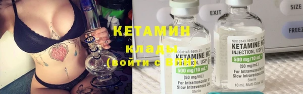 индика Горнозаводск