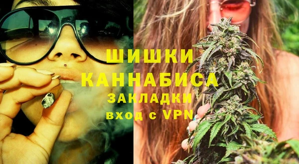 дживик Горняк