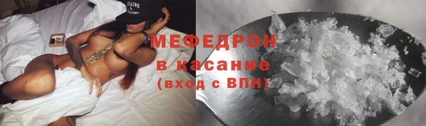 индика Горнозаводск