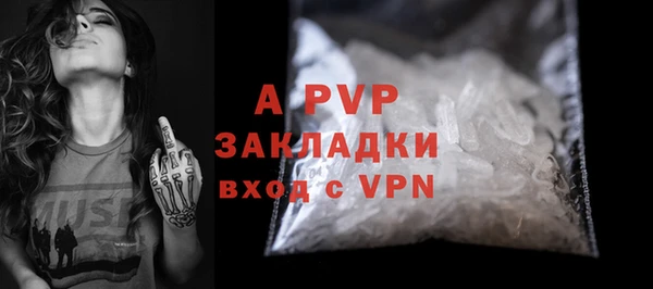 индика Горнозаводск