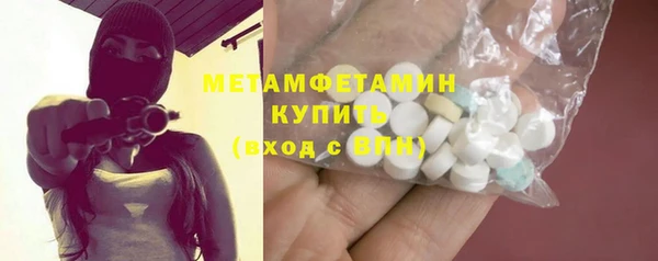 индика Горнозаводск