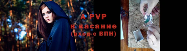 MESCALINE Горно-Алтайск