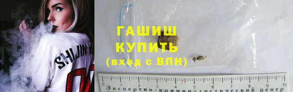 индика Горнозаводск