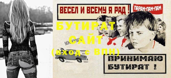 индика Горнозаводск