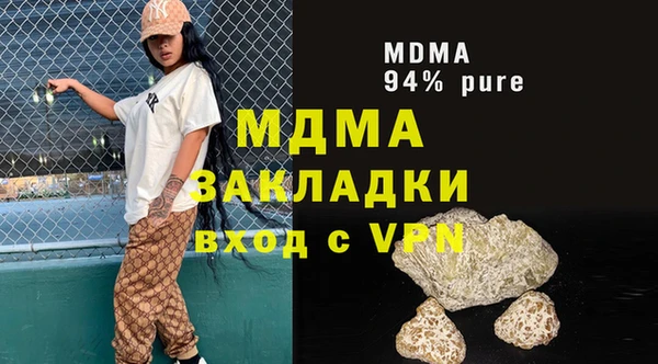 прущие грибы Апатиты