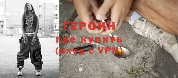 индика Горнозаводск