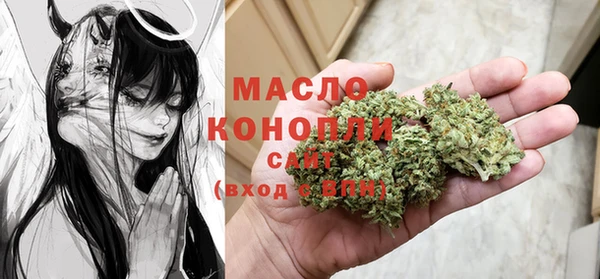 индика Горнозаводск
