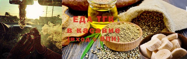 индика Горнозаводск
