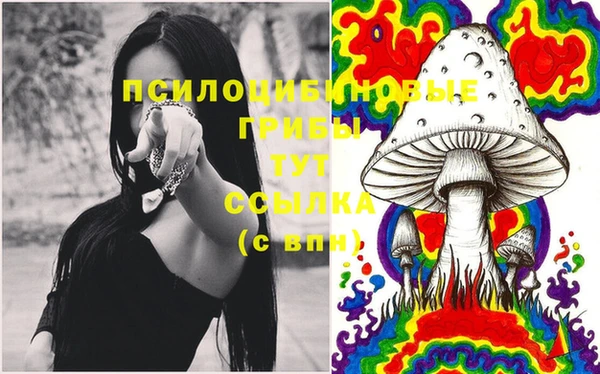 дживик Горняк