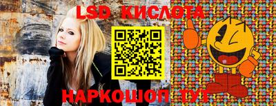 гашик Берёзовский