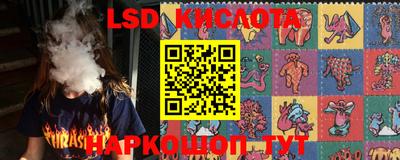 PSILOCYBIN Беслан