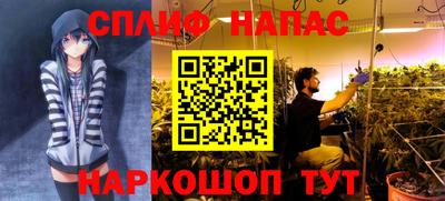 ПСИЛОЦИБИНОВЫЕ ГРИБЫ Балахна