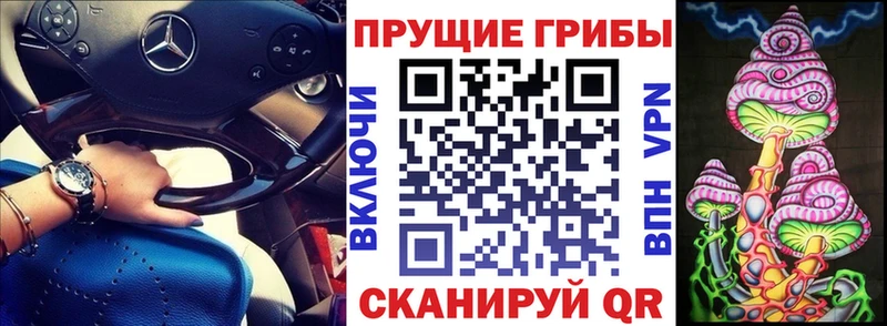 hydra как зайти  Гусь-Хрустальный  Псилоцибиновые грибы Cubensis  даркнет сайт 