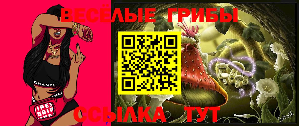 Галлюциногенные грибы Cubensis Гусь-Хрустальный