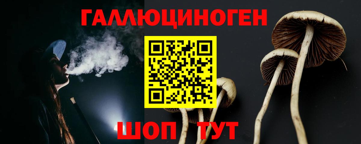 Галлюциногенные грибы мицелий  Вход с VPN  Галлюциногенные грибы Cubensis  Гусь-Хрустальный 